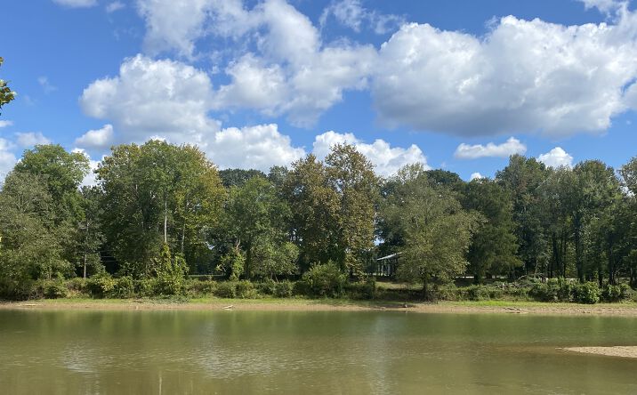 Pictures of Mixed Use, Land property located at Harry Terry Dr., Savannah, TN 38372 for sales - image #1