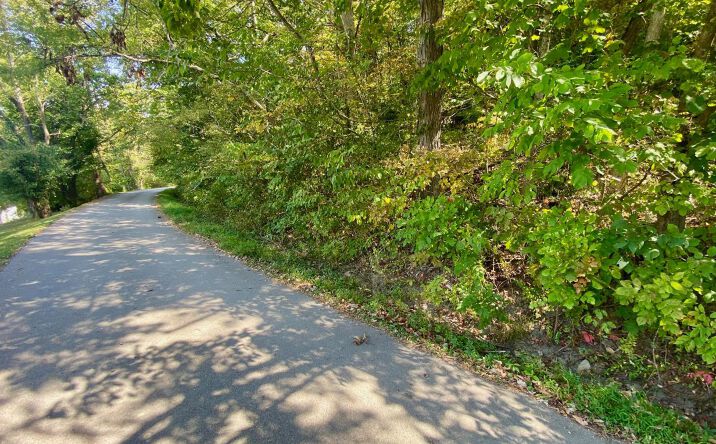 Pictures of Land property located at Eagle Creek Rd, Ripley, OH 45167 for sales - image #1