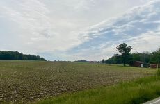 33504718