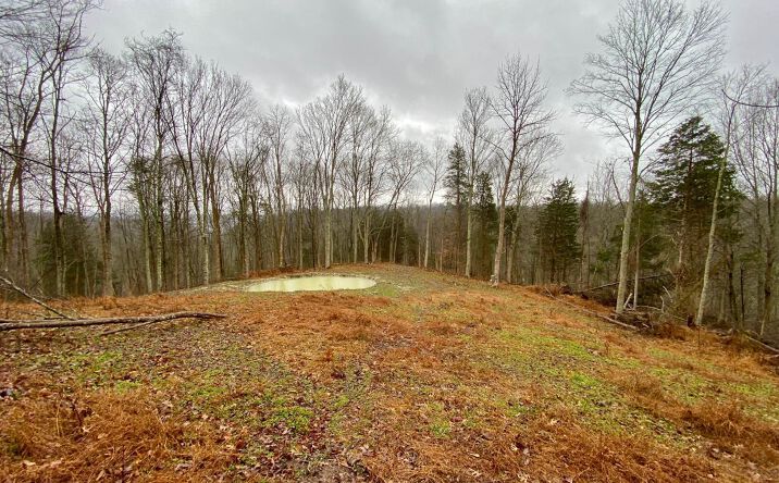 1334 Roush Hill Rd, Manchester
