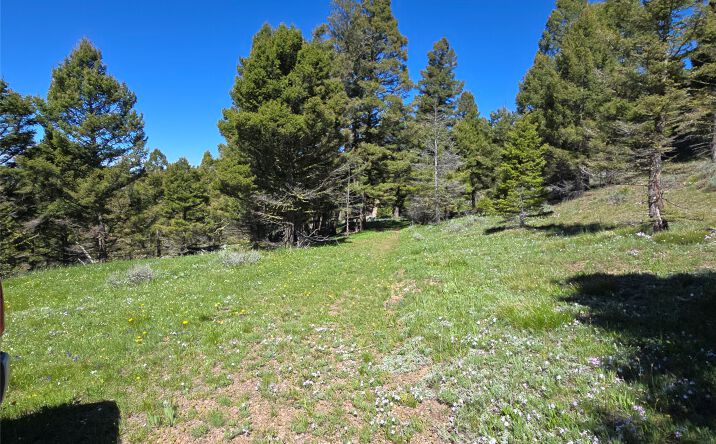 Pictures of Land property located at Lot 26 Westridge Road, HELMVILLE, MT 59843 for sales - image #1