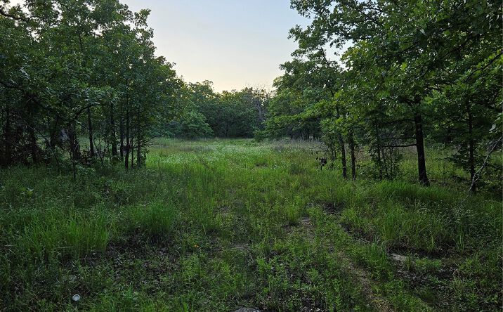 Pictures of Land property located at Hickory Lane, Stuart, OK 74570 for sales - image #1