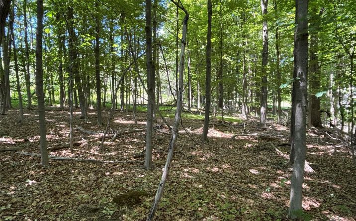 Pictures of Land, Multifamily property located at 68 Smith Road, Poughkeepsie, NY 12603 for sales - image #1