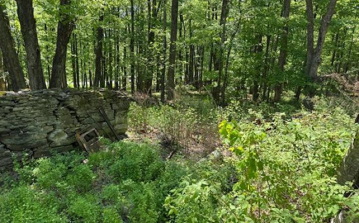 Pictures of Land, Special Purpose property located at Polster, Callicoon, NY 12726 for sales - image #1