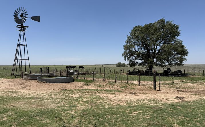Pictures of Land property located at TBD County Road 3, Mobeetie, TX 79061 for sales - image #1