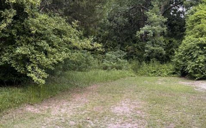 Pictures of Land, Multifamily, Retail property located at 105 Gates Street, Sumter, SC 29150 for sales - image #1
