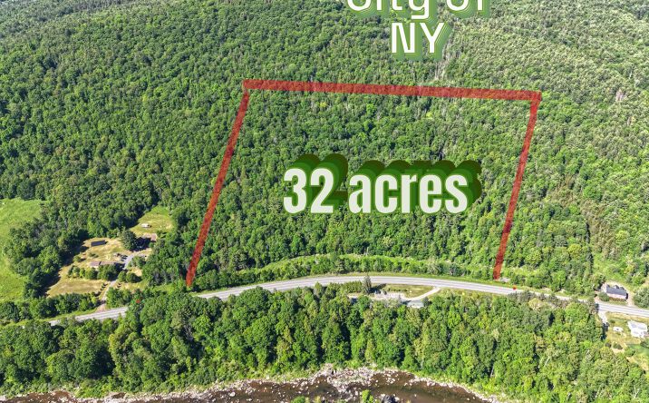 Pictures of Land property located at Route 23a Road, Lexington, NY 12452 for sales - image #1