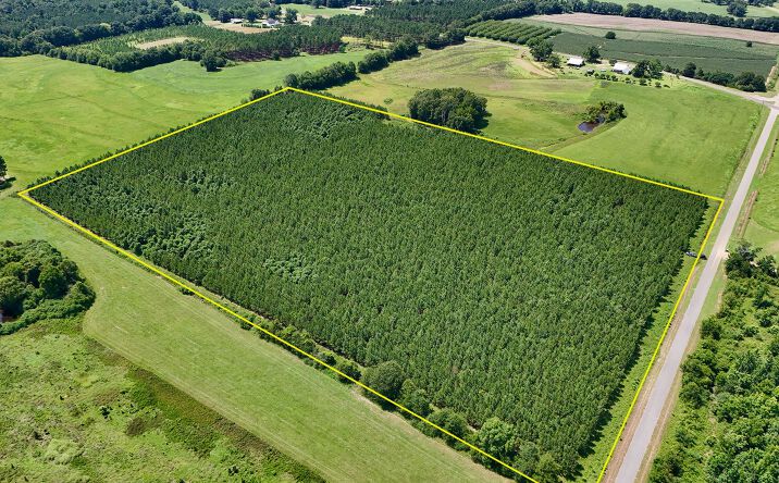 Pictures of Land property located at Edgefield Road, Clayton, AL 36016 for sales - image #1