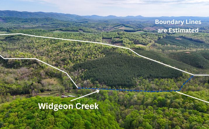 Pictures of Land property located at 0 Chairty Hwy and Rt 40, Rocky Mount, VA 24185 for sales - image #1