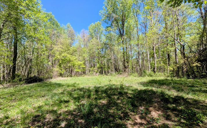 Pictures of Land property located at 839 Bent School Rd, Meadows of Dan, VA 24120 for sales - image #1