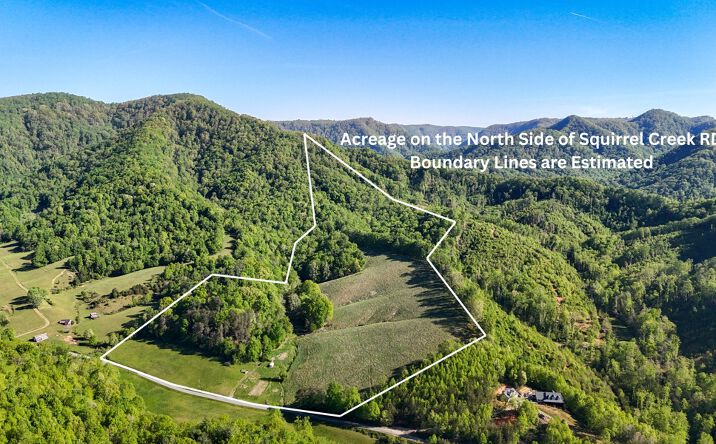 Pictures of Land property located at 1649 Squirrel Creek Rd, Ararat, VA 24053 for sales - image #1