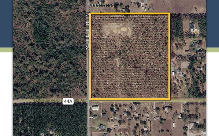 Pictures of Land property located at NE Corner of Thrill Hill Rd & CR 44A, Eustis, FL 32736 for sales - image #1