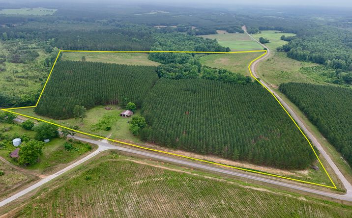 Pictures of Land property located at County Road 67, Clopton, AL 36317 for sales - image #1