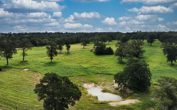 Pictures of Land property located at 742 RED ROCK RANCH RD, RED ROCK, TX 78662-4605 for sales - image #1