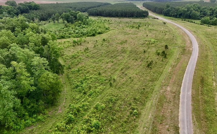 Pictures of Land property located at 0 County Road 75, CLOPTON, AL 36317 for sales - image #1