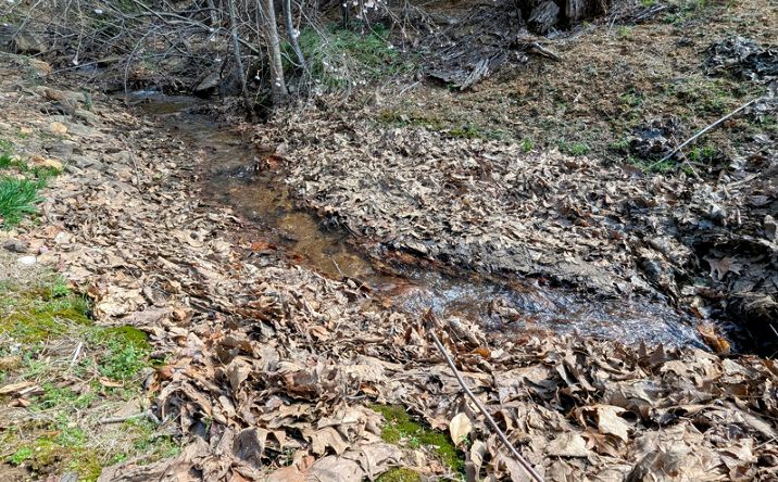 Pictures of Land property located at 6039 Belcher Mountain Rd, Woolwine, VA 24185 for sales - image #1