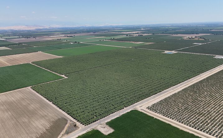 Pictures of Land property located at 17401 Avenue 192, Strathmore, CA 93267 for sales - image #1