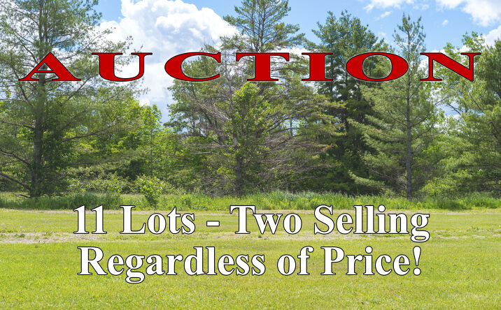 Pictures of Land property located at 201 Vera Lane, Rainbow City, AL 35906 for sales - image #1