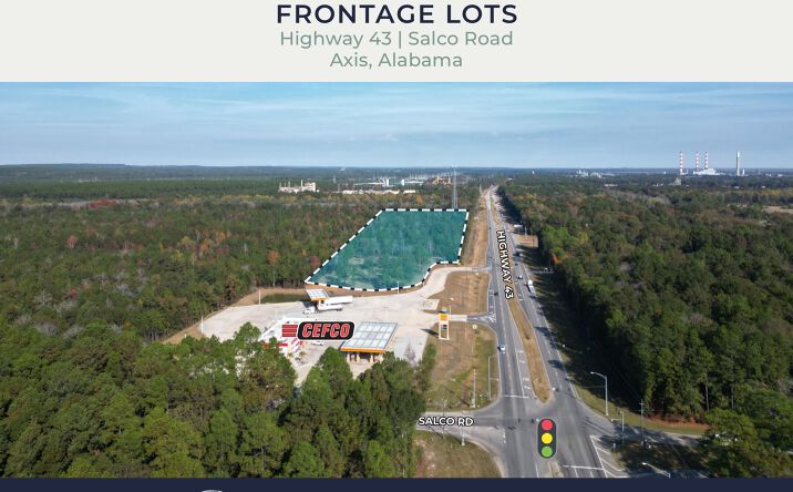 Pictures of Land property located at Highway 43 at Salco Road, Axis, AL 36505 for sales - image #1