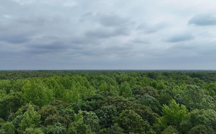 Pictures of Land property located at 1144 Freidriechstadt, Woodbine, NJ 08270 for sales - image #1