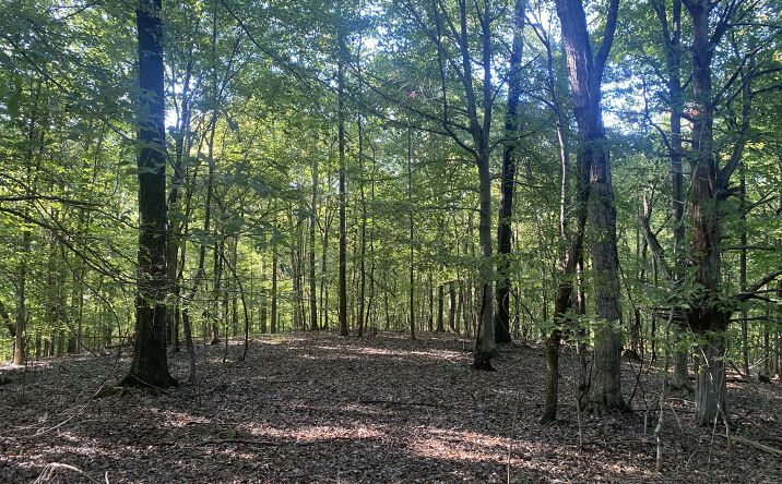 Pictures of Land property located at Friendship Lp., Savannah, TN 38372 for sales - image #1
