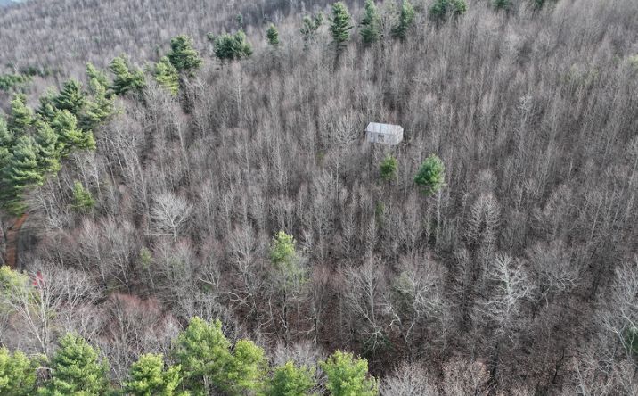 Pictures of Land property located at 0 Shelor Rd SW, Meadows of Dan, VA 24120 for sales - image #1