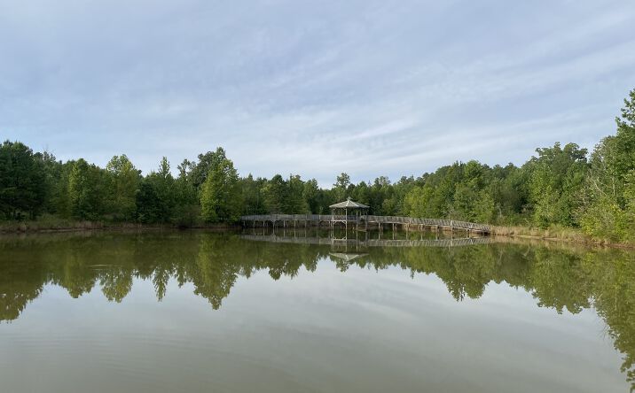 Pictures of Land, Special Purpose property located at Bruton Rd., Savannah, TN 38372 for sales - image #1