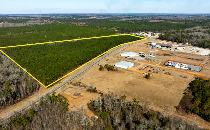 Pictures of Land property located at US 82 E, Cuthbert, GA 39840 for sales - image #1