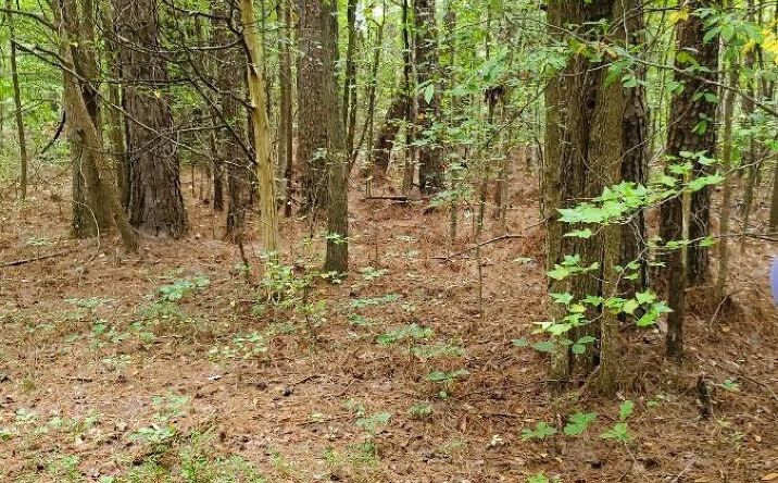 Pictures of Land, Multifamily property located at Jones Bend Rd., Paris, TN 38242 for sales - image #1