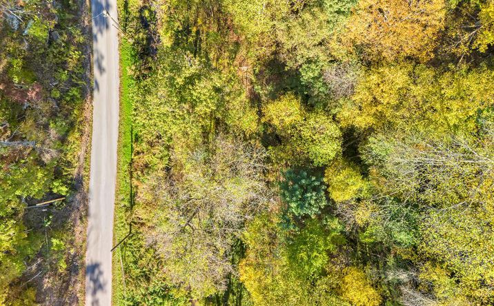 Pictures of Special Purpose, Land property located at Brown Bear Hollow Road, Northfork, WV 24868 for sales - image #1
