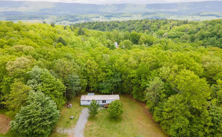Pictures of Land, Multifamily property located at 164 N Chinquapin Ln, Bland, VA 24315 for sales - image #1