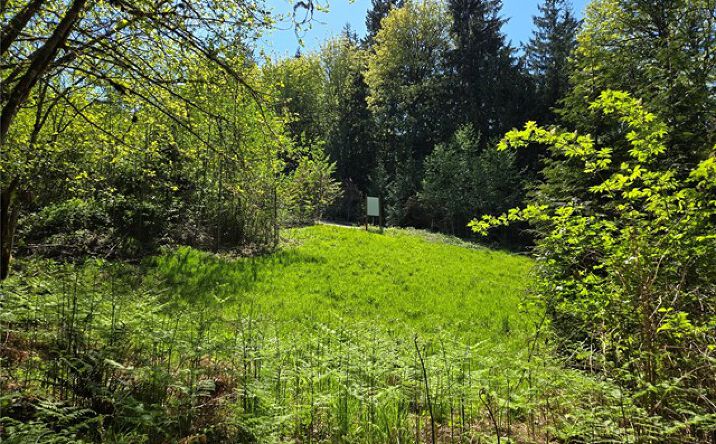 286 XX NE 156th St, Duvall