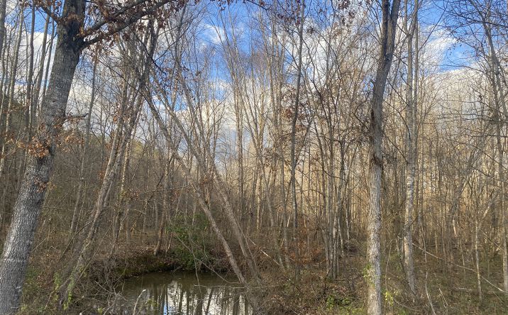 Pictures of Land property located at Rose Creek Rd. Tract 3, Selmer, TN 38375 for sales - image #1