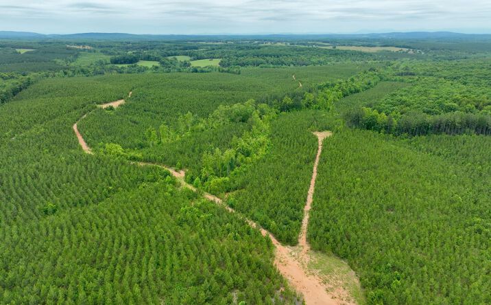 Pictures of Land property located at 0 Wards Road, Hurt, VA 24563 for sales - image #1