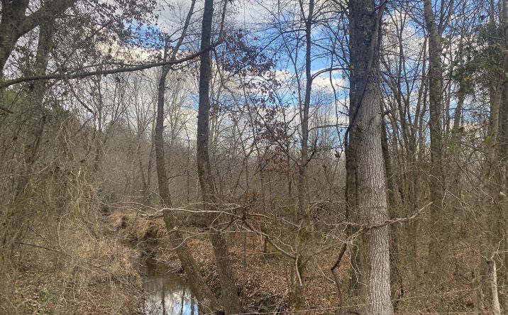 Pictures of Land property located at 7 Hughey Talley Rd., Selmer, TN 38375 for sales - image #1