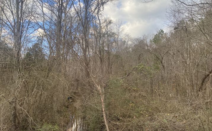 Pictures of Land property located at 8 Rose Creek Rd., Selrmer, TN 38375 for sales - image #1