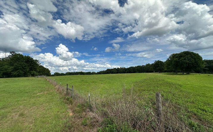 Pictures of Mixed Use property located at County Road 20, Florala, AL 36442 for sales - image #1