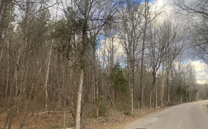 Pictures of Land property located at 9 Rose Creek Rd., Selmer, TN 38375 for sales - image #1