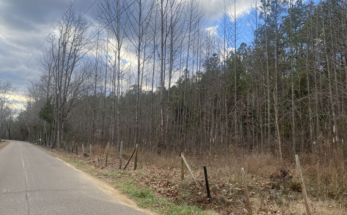 Pictures of Land property located at 10 Rose Creek Rd., Selmer, TN 38375 for sales - image #1