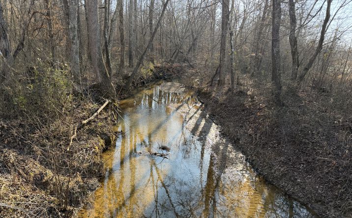 Pictures of Land property located at Small Rd., Morris Chapel, TN 38361 for sales - image #1
