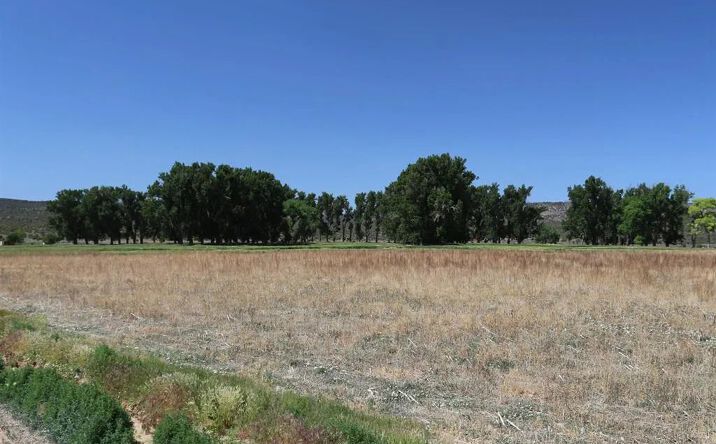 TBD Shavano Valley Road, 16895