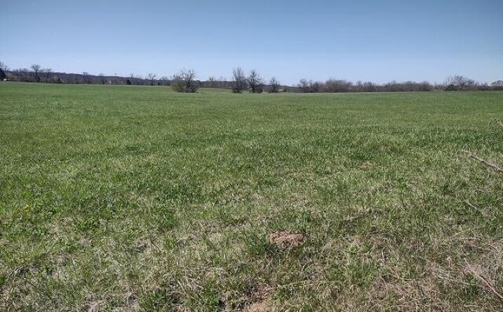 Pictures of Land property located at Tbd Commerce Rd, Marshfield, MO 65706 for sales - image #1