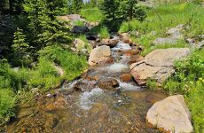 33533886
