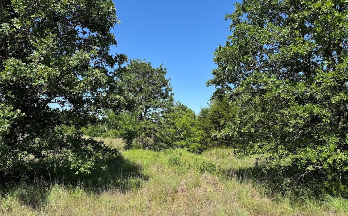 2670 Buck Horn Road, Healdton
