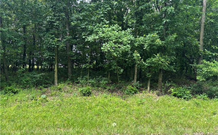 Lot 3063 Lake Viking Terrace, Altamont