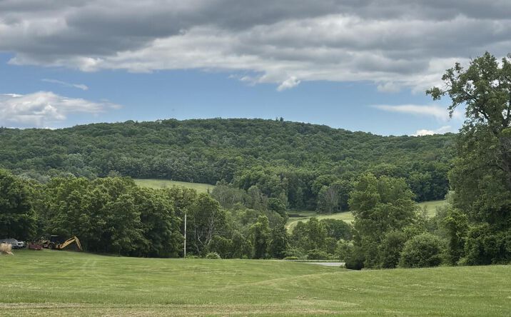 Pictures of Land property located at 3551 County Rd 7, Copake, NY 12516 for sales - image #1
