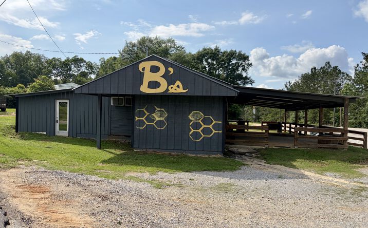 Pictures of Retail property located at 285 North Garland Road, McKenzie, AL 36456 for sales - image #1