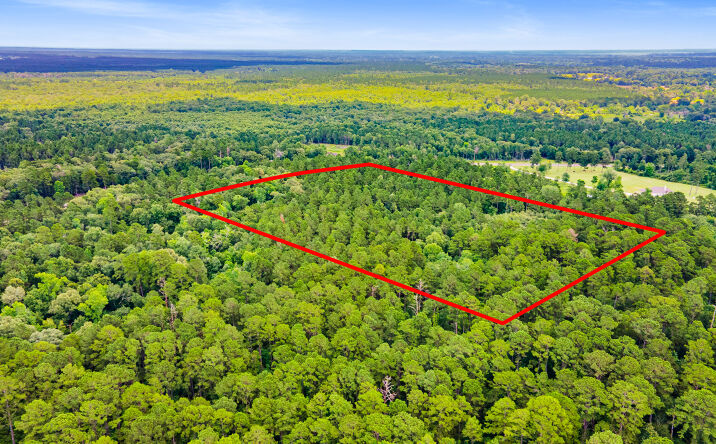 Pictures of Land property located at 00 FM 230, Trinity, TX 75862 for sales - image #1