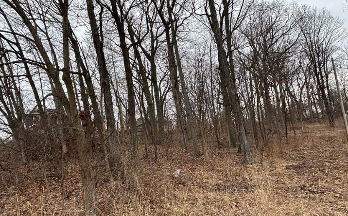 Pictures of Land property located at West 128th Avenue, Cedar Lake, IN 46303 for sales - image #1