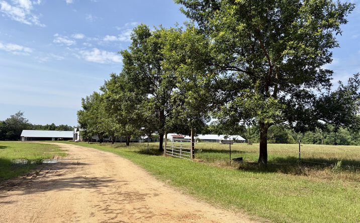 Pictures of Land property located at 897 South Butler Springs Road, Forest Home, AL 36030 for sales - image #1